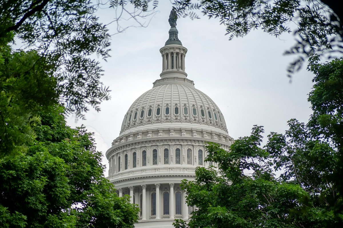 Redistricting and the Role of the Census