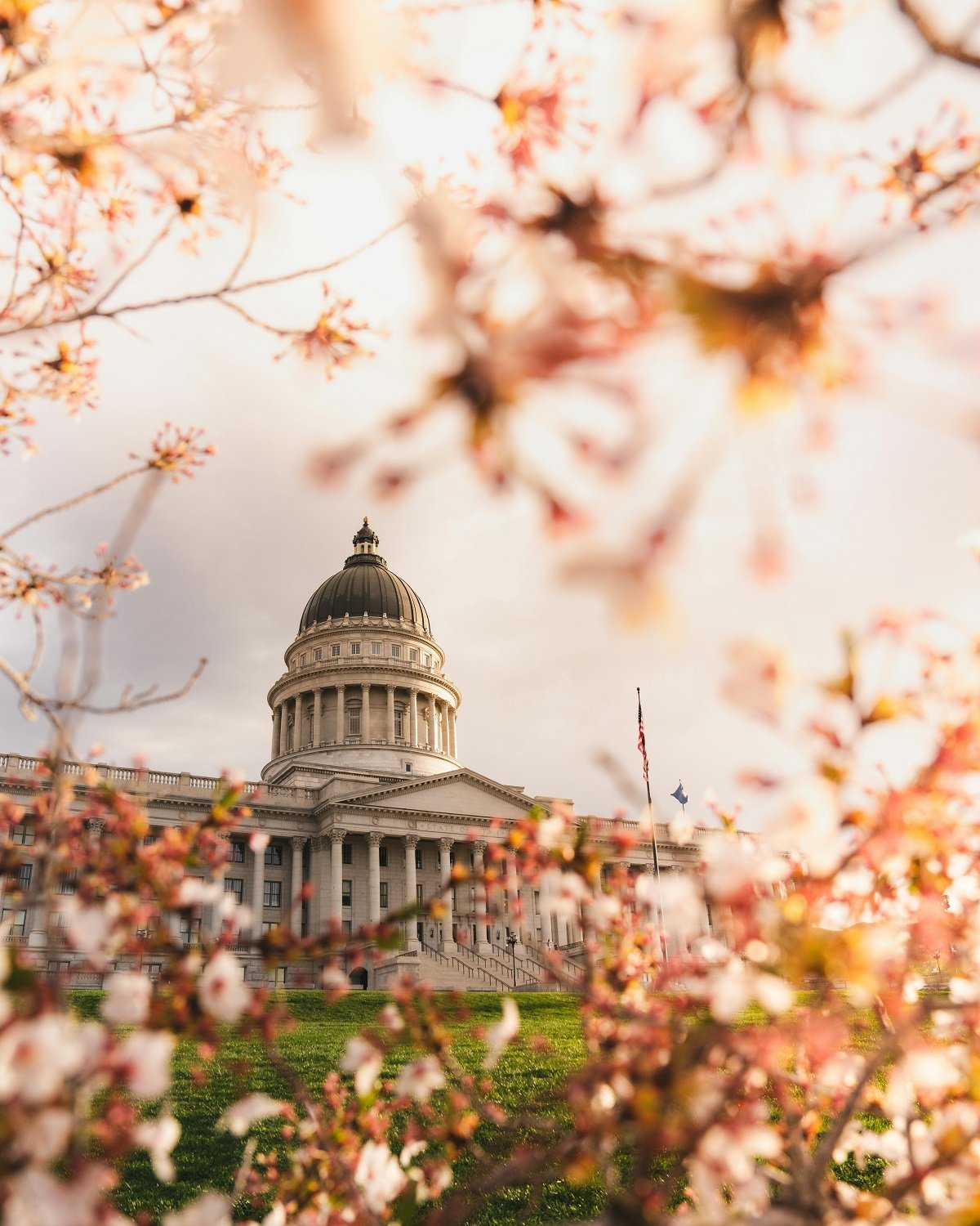 Justice Reform Proposals on Capitol Hill A Nation at a Crossroads